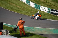 Lower Group Orange Bikes